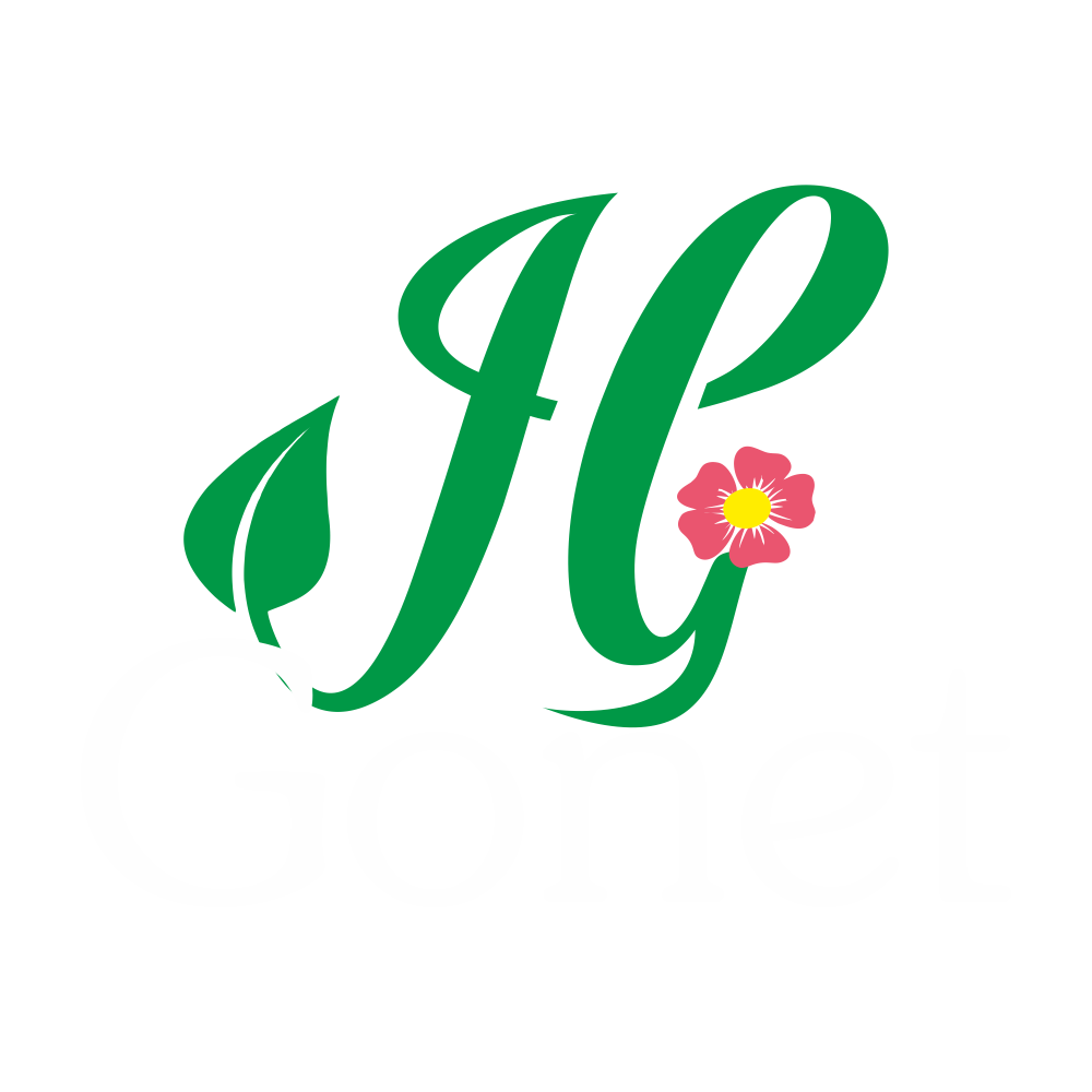 Kwiaty Korczyna - Ogrodowe - Doniczkowe - Chryzantemy - J.G. Gonet